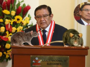 ¿POR QUÉ VIZCARRA ESTÁ DESCARTADO PARA PARTICIPAR EN POLÍTICA?