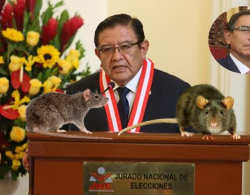 ¿POR QUÉ VIZCARRA ESTÁ DESCARTADO PARA PARTICIPAR EN POLÍTICA?