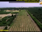 UN VIDEO PARA VERLO COMPLETO