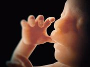 30.000 ABORTOS (QUIRÚRGICOS) SE VAN REALIZANDO EN IRLANDA DESDE LA APROBACIÓN DEL REFERÉNDUM DE 2018