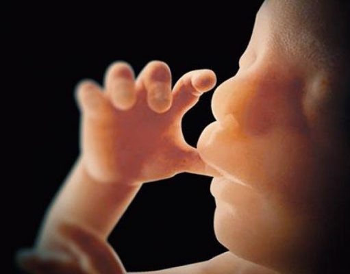 30.000 ABORTOS (QUIRÚRGICOS) SE VAN REALIZANDO EN IRLANDA DESDE LA APROBACIÓN DEL REFERÉNDUM DE 2018