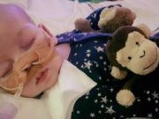 LA DECADENCIA MORAL DE HOLANDA SE ACELERA