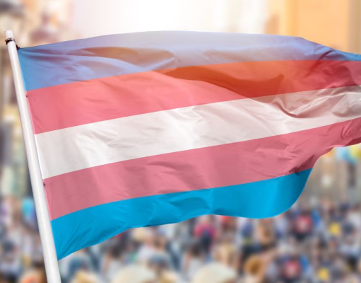 APROBADO PROYECTO DE LEY CONTRA LOS BAÑOS TRANS