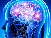 Inteligencia Artificial y la Actividad Cerebral