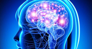 Inteligencia Artificial y la Actividad Cerebral