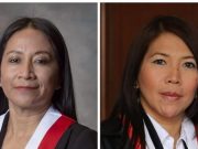 LA COMISIÓN DE ÉTICA ES MÁS LENTA QUE UNA TORTUGA ANESTESIADA