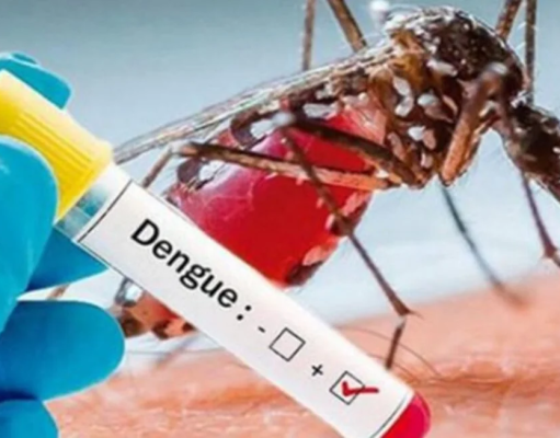 EL PROBLEMA DEL DENGUE SIGUE LATENTE: HA INFECTADO A MÁS DE 37 MIL NIÑOS Y ADOLESCENTES EN EL PERÚ