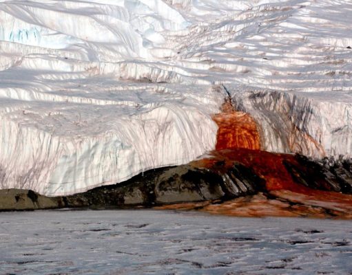 RESUELTO EL MISTERIO OCULTO, POR MÁS DE UN SIGLO, DE LAS CASCADAS DE SANGRE EN LA ANTÁRTIDA
