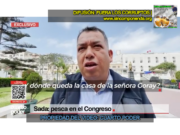 CONGRESISTAS COIMEADOS POR SADA GORAY PARA OBTENER LEYES A SU FAVOR