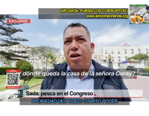 CONGRESISTAS COIMEADOS POR SADA GORAY PARA OBTENER LEYES A SU FAVOR