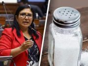 SUS CABEZAS SÓLO DAN PARA TONTERÍAS ¿CÓMO LLEGARON AL CONGRESO?