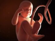 LAS IDEOLOGÍAS ABORTISTAS SE CAEN EN SUDAMÉRICA