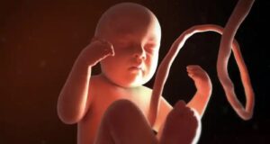 LAS IDEOLOGÍAS ABORTISTAS SE CAEN EN SUDAMÉRICA