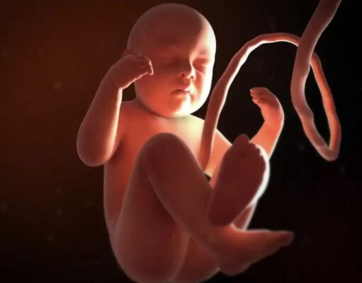 LAS IDEOLOGÍAS ABORTISTAS SE CAEN EN SUDAMÉRICA