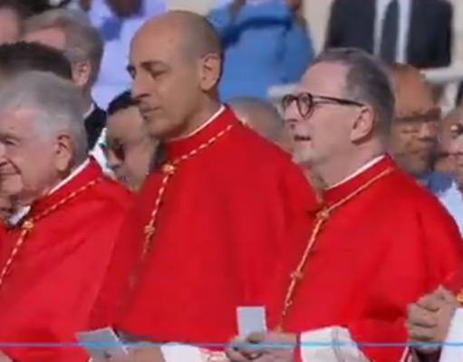 PAPA FRANCISCO CREA 21 NUEVOS CARDENALES EN UN CONSISTORIO CELEBRADO HOY 30 DE SEPTIEMBRE