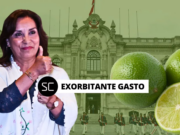 PALACIO DE GOBIERNO HACE UN EXORBITANTE GASTO EN LA COMPRA DE LIMONES FINOS