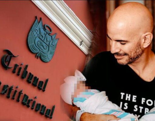 TRIBUNAL CONSTITUCIONAL (TC): GUÍAS CIEGOS DE LA LEY» «CUELAN EL MOSQUITO Y SE TRAGAN EL CAMELLO»