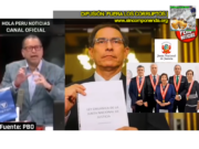 NADA NI NADIE, NI SUS TRIQUIÑUELAS, SALVARÁN AL LAGARTO VIZCARRA NI A SUS LAGARTITOS DE LA JNJ