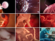 SOLO EN ESPAÑA ANUALMENTE MUEREN MÁS DE 100.00 BEBÉS ASESINADOS POR EL ABORTO