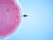 LOS BIÓLOGOS SÍ ESTÁN DE ACUERDO QUE LA VIDA HUMANA INICIA EN LA CONCEPCIÓN, LOS IDEÓLOGOS NO