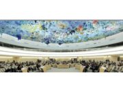 GIGANTE ABORTISTA IPAS PRESIONA EN LA ONU PARA QUE EE. UU VUELVA A DESPENALIZAR COMPLETAMENTE EL ABORTO