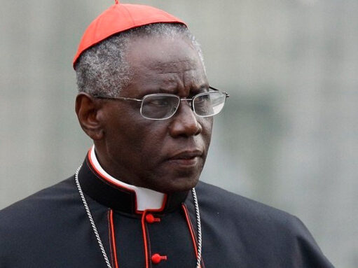 UNA REFLEXIÓN DEL CARDENAL SARAH RESPECTO AL ACTUAL ESTADO DE CONFUSIÓN EN LA IGLESIA POR CAUSA DE FIDUCIA SUPPLICANS