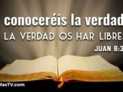 LA LIBERTAD DESDE LA PERSPECTIVA DEL LIBERALISMO ES INCOMPATIBLE CON EL CRISTIANISMO CATÓLICO