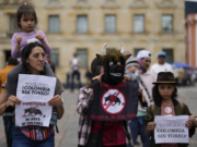 SE APROBÓ EN EL CONGRESO COLOMBIANO LA PROHIBICIÓN DE LAS CORRIDAS DE TOROS