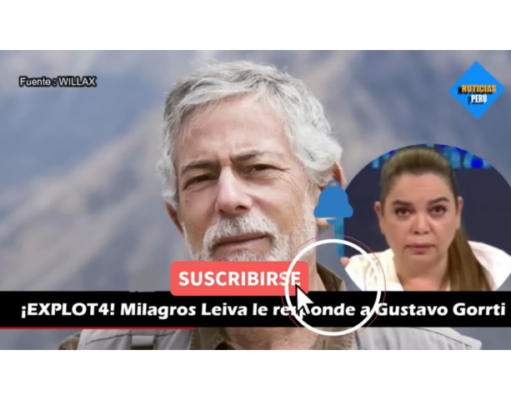 MILAGROS LEYVA LE METIÓ UN CACHETADÓN AL ANTIPERUANO GUSTAVO GORRITI