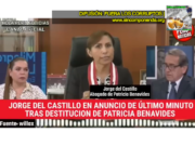 EL ACOMODO EN LA JNJ SE DIO A LA MALA E IRREGULARMENTE. ABOGADOS DE PATRICIA BENAVIDES SEGUIRÁN EN LA LUCHA