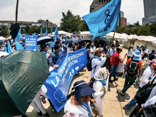 CRÓNICA SEMANAL EN CENTRO AMÉRICA: MARCHAS PROVIDAS Y ORACIONES PARA UN VOTO EN CONCIENCIA EN LAS PRÓXIMAS ELECCIONES EN MÉXICO Y PANAMÁ