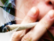 UN ESTUDIO DEL 2023 CONFIRMA QUE LOS EFECTOS DEL CONSUMO DE MARIHUANA SON DEVASTADORES EN EL SER HUMANO