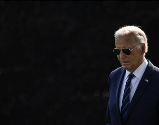 PREOCUPACIÓN EN LOS CANDIDATOS DEMÓCRATAS SI CONTINÚA BIDEN EN LA CARRERA PRESIDENCIAL: AUGURA UN ROTUNDO TRIUNFO DE TRUMP Y DE LOS REPUBLICANOS PARA LA CÁMARA Y EL SENADO