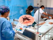 MÁS IMPORTANTE ES COMBATIR EL DENGUE QUE ANDAR PERDIENDO EL TIEMPO EN VIRUELAS DE MONOS