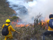 LOS INCENDIOS FORESTALES CONTINÚAN: SON MÁS DE 40 ACTIVOS Y AUMENTAN LOS FALLECIDOS POR ASFIXIA