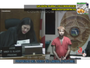 LOS DEL TREN DE ARAGUA SE MULTIPLICAN COMO CUCARACHAS DICEN EN LOS EEUU