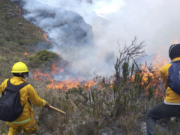 FORESTALES DE IQUITOS EN LLAMAS. AYUDA HUMANITARIA Y COMBUSTIBLE PARA LA POBLACIÓN