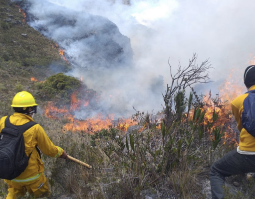 FORESTALES DE IQUITOS EN LLAMAS. AYUDA HUMANITARIA Y COMBUSTIBLE PARA LA POBLACIÓN
