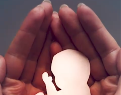 CIDH QUIERE QUE LOS PAÍSES LATINOAMERICANOS MATEN A SUS CIUDADANOS EN EL VIENTRE MATERNO