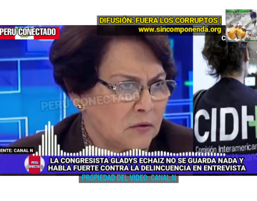 EXISTE UNA DESCOMPOSICIÓN SOCIAL Y UNA PASIVIDAD PARA FRENAR LA DELINCUENCIA