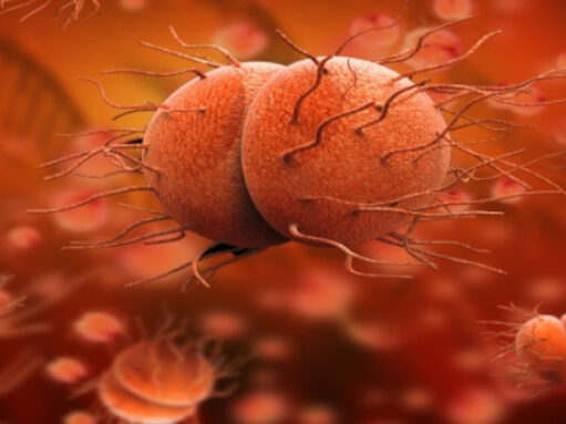 ESCANDALOSO AUMENTO DE ENFERMEDADES DE TRASMISIÓN SEXUAL EN ESPAÑA: 84% ESPECIALMENTE EN VARONES