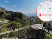 PERUANA PLANTÓ HACE 40 AÑOS MÁS DE 100 VARIEDADES DE ÁRBOLES DE LA AMAZONÍA Y AHORA SJL TIENE UNA SELVA ESCONDIDA