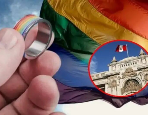 LA INCONSTITUCIONALIDAD DE LA UNIÓN CIVIL, EN EL PERÚ Y EN TODAS PARTES DEL MUNDO EN QUE SE RESPETA LA DIGNIDAD NATURAL DEL MATRIMONIO Y LA FAMILIA