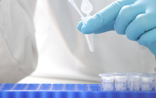 PREOCUPACIÓN POR PARTE DE LOS OBISPOS DE EE. UU. ANTE LA RECIENTE ORDEN EJECUTIVA DEL PRESIDENTE DONALD TRUMP EN FAVOR DE LA FECUNDACIÓN INVITRO