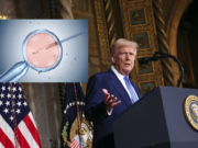 POLÉMICA MEDIDA DE DONALD TRUMP CONTRA EL CONCEBIDO: CUMPLE SU PROMESA DE CAMPAÑA EN FAVOR DE LA FIV