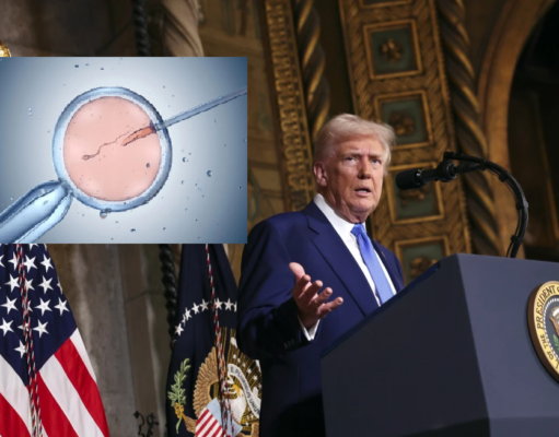 POLÉMICA MEDIDA DE DONALD TRUMP CONTRA EL CONCEBIDO: CUMPLE SU PROMESA DE CAMPAÑA EN FAVOR DE LA FIV