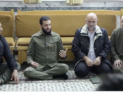 AUNQUE LA MONA SE VISTA DE SEDA, MONA SE QUEDA