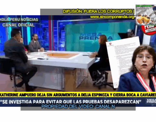 ES POR DEMÁS. TENEMOS UNA FISCAL DE LA NACIÓN ANALFABETA SOBRE CONSTITUCIÓN: DEBE IRSE