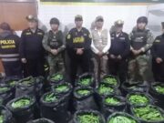 INCAUTAN MAS DE 20 MIL CARTUCHOS DE EXPLOSIVOS PARA SER USADO EN MINERÍA ILÍCITA