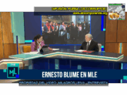 CONSTITUCIONALISTA ERNESTO BLUME SEÑALA QUE DELIA ESPINOZA HA INCURRIDO EN UNA SERIE DE IRREGULARIDADES